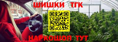 винт Обь