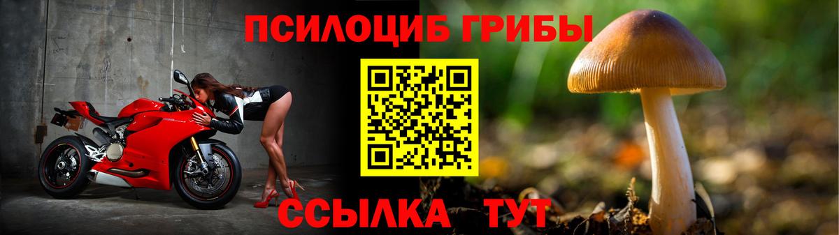 Псилоцибиновые грибы Cubensis  Вход с VPN  Арзамас 